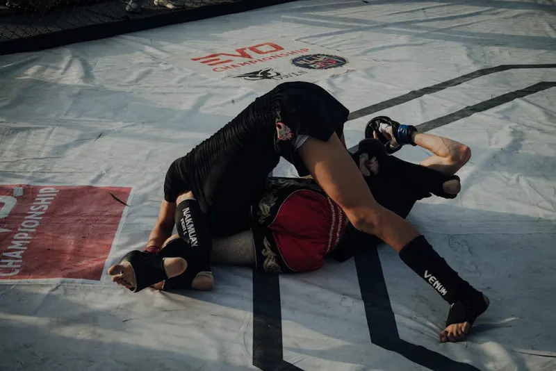 UFC Vegas 116: Sterling x Zalal, resultados e análise completa